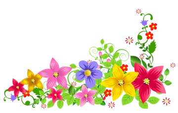 a colorful flower border with leaves and flowers