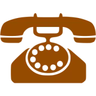 a brown and white phone