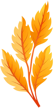 a yellow leaf on a white background