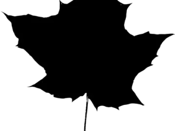 a black and white silhouette of a leaf