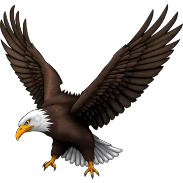 an eagle flying with its wings spread