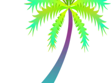 a palm tree with green leaves