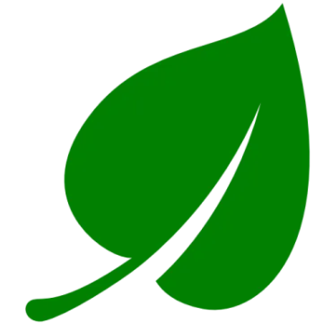 a green leaf with a white background