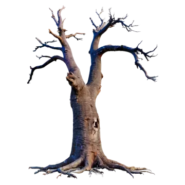 a dead tree on a white background
