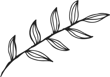 a black and white drawing of a leaf