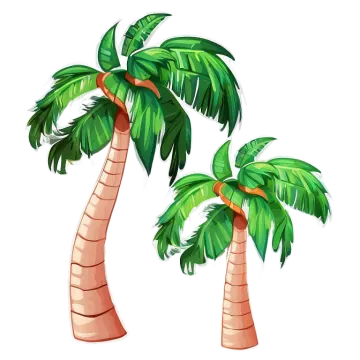 two palm trees on a white background