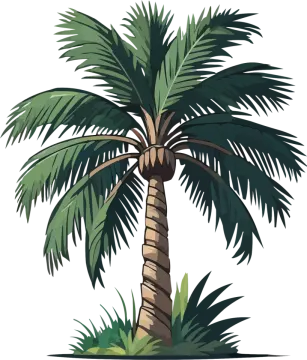 a palm tree on a white background