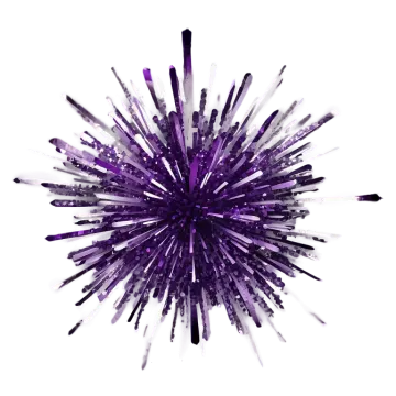 a purple and white flower on a white background
