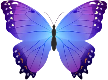 a blue butterfly on a white background