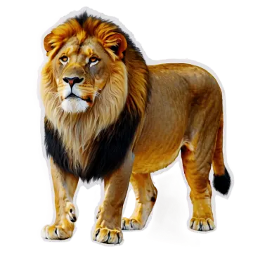 a drawing of a lion on a white background