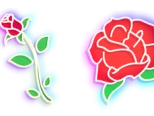 two red roses on a white background