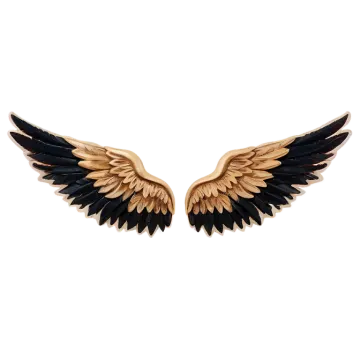 a pair of wings on a white background