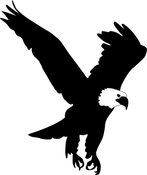 an eagle silhouetted on a white background