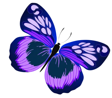a purple butterfly on a white background