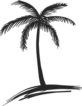 a black and white silhouette of a palm tree