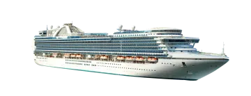 a large cruise ship