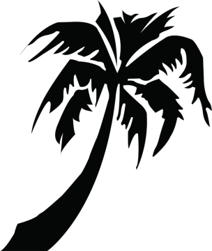 a black and white silhouette of a palm tree