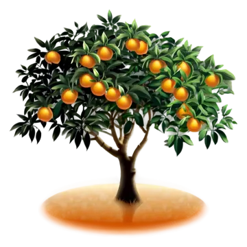 a tree with oranges on it