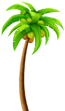 a palm tree on a white background