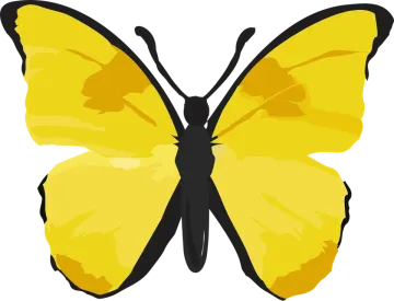 a yellow butterfly on a white background
