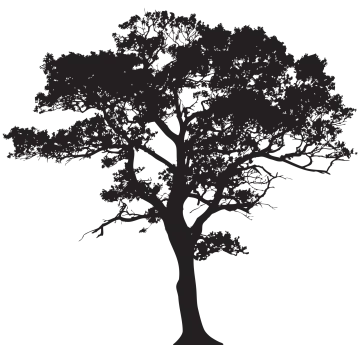 a black and white silhouette of a tree