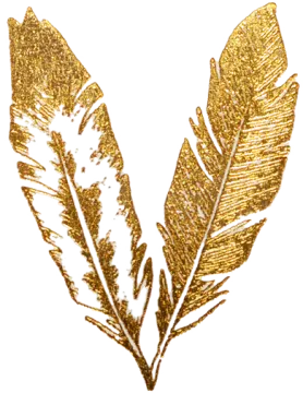 a gold feather on a white background