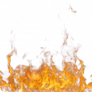 fire on a white background