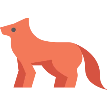 an orange fox standing on a white background