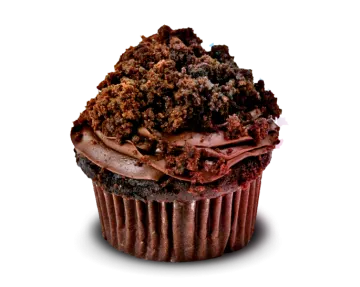a cupcake with chocolate frosting on top