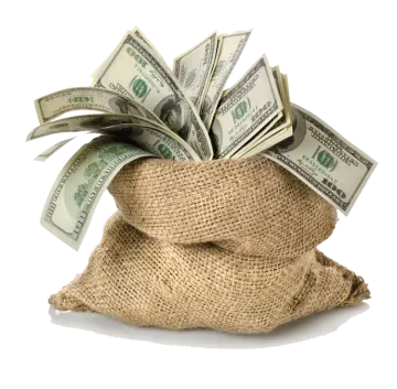 a bag full of money