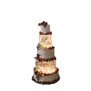 a white wedding cake with lights on top