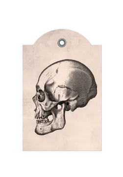 a black and white drawing of a skull