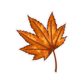 a cartoon maple leaf on white background