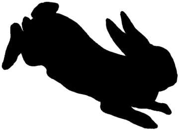 a silhouette of a rabbit
