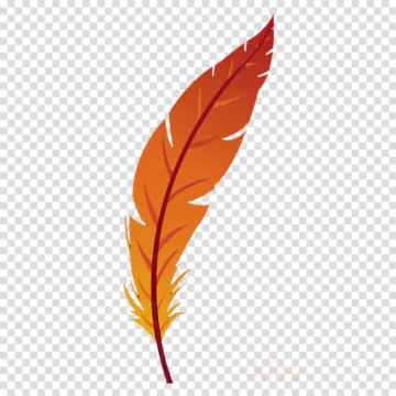 an orange feather on a transparent background