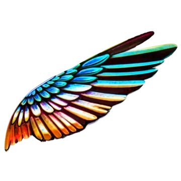 a colorful wing on a white background