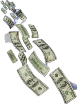 a bunch of money falling from the sky