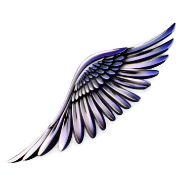 a black and white wing on a white background