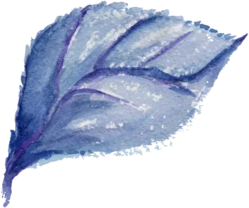 a watercolor painting of a blue leaf