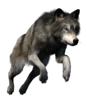 a 3d rendering of a wolf