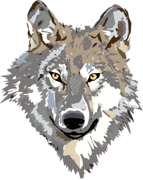 a drawing of a wolf's face