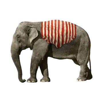 an elephant wearing a red and white striped shirt