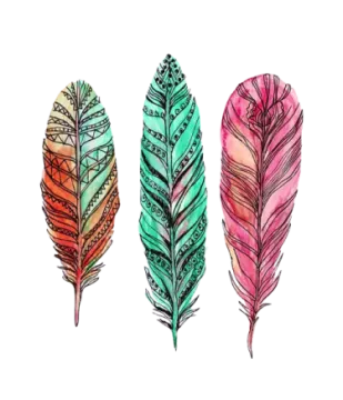 three colorful feathers on a white background
