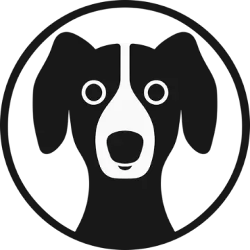 a black and white dog in a circle