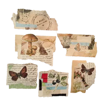 a set of four vintage postcards with butterflies and flowers