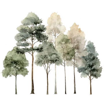 a watercolor painting of trees
