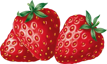 two red strawberries with green leaves