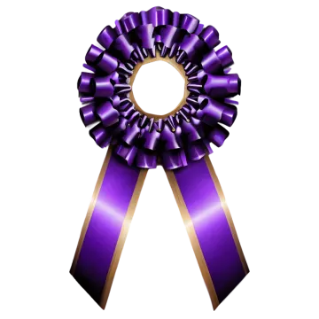 a purple ribbon with a rosette on it