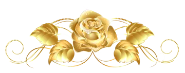 a gold rose on a white background