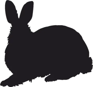 a black silhouette of a rabbit